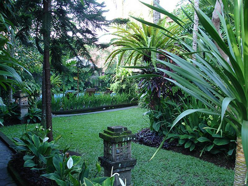 Adi Cottage Ubud Extérieur photo
